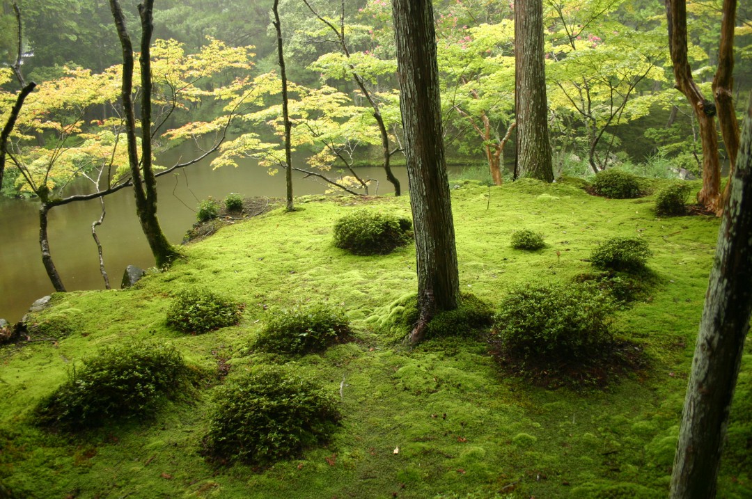 Jardin de Julien